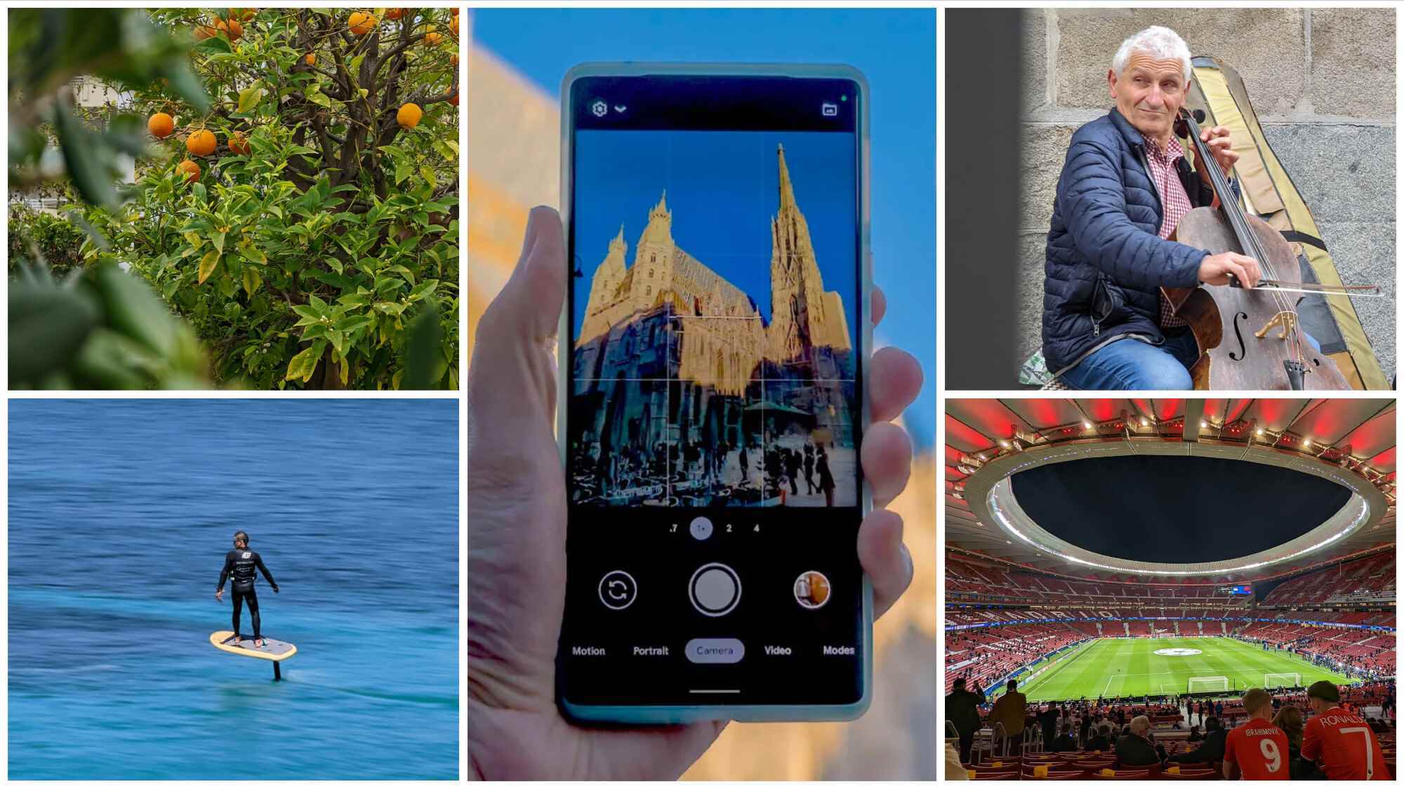 Einige der besten Zoom-Fotos, die ich mit der 4x-Kamera des Pixel 6 Pro aufgenommen habe.  - Pixel 7 Pro: Google verliert den Titel „Bestes Kamerahandy“ ein für alle Mal an iPhone und Samsung?
