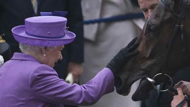 Die Queen streichelt die Schätzung des Gold Cup-Gewinners 2013