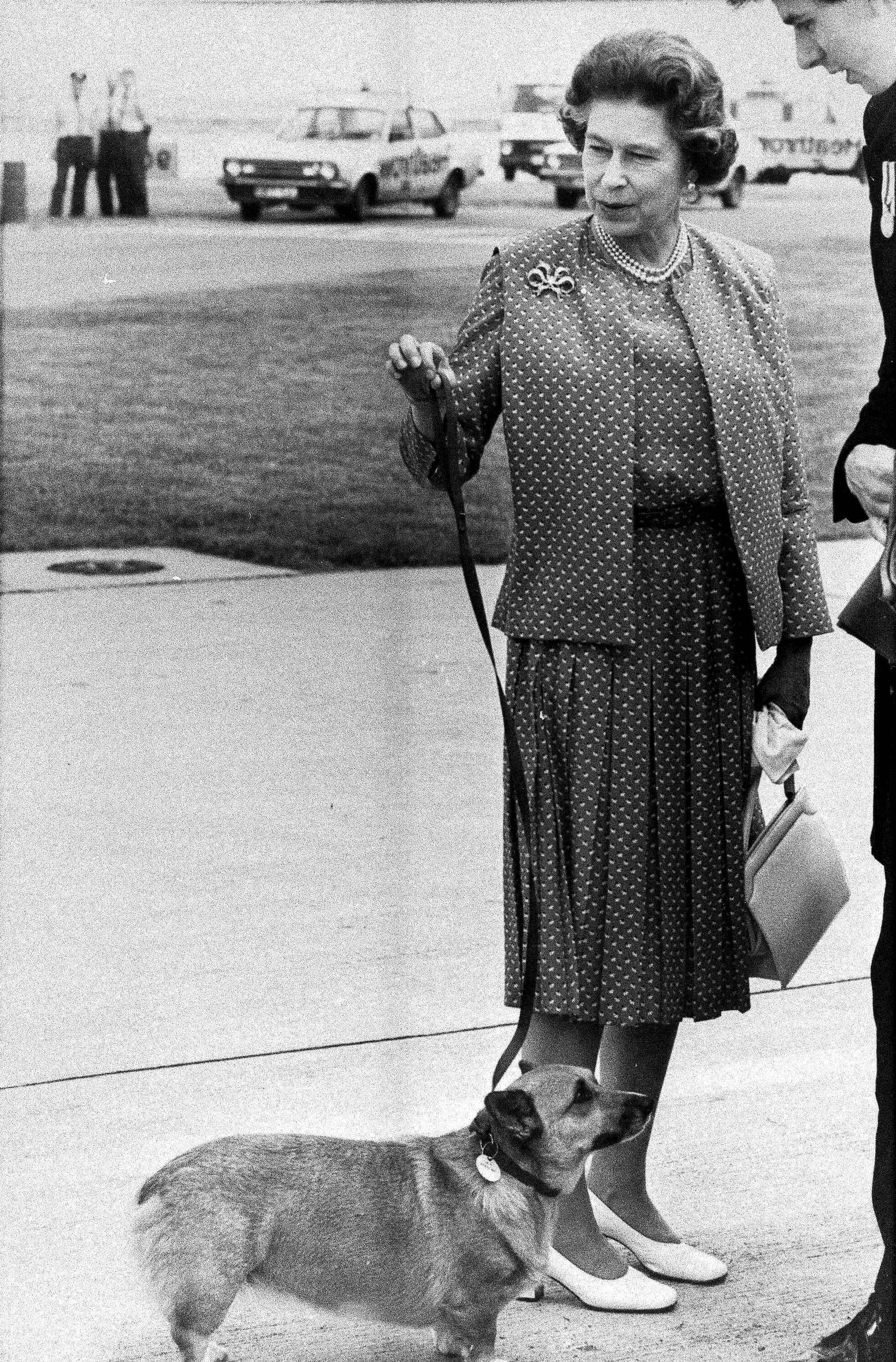 Queen Elizabeth mit einem Corgi im Jahr 1982.