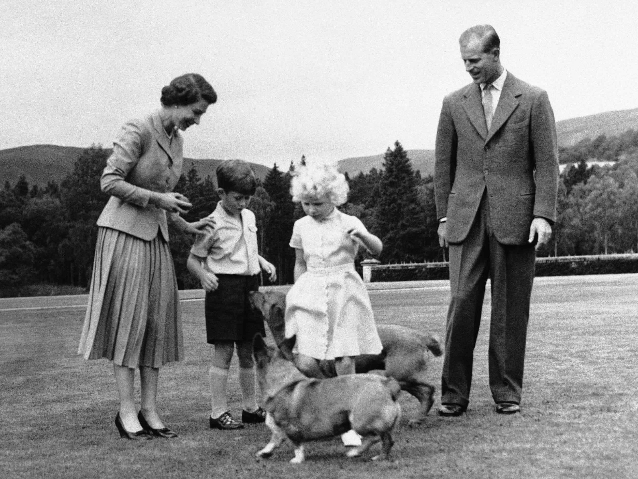 Queen Elizabeth, Prinz Philip, Prinz Charles und Prinzessin Anne mit Corgis im Jahr 1955.