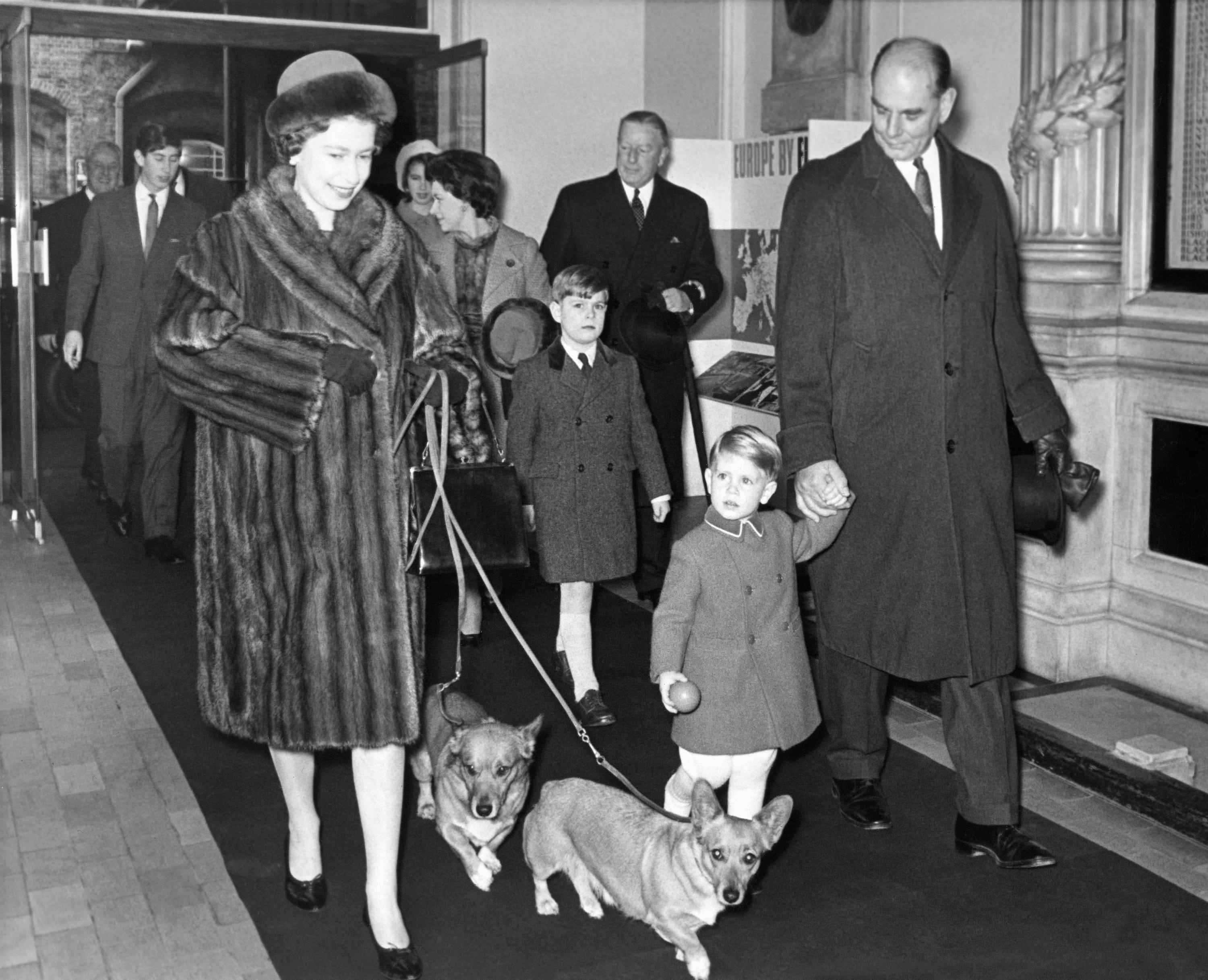 Die königliche Familie geht mit Corgis auf dem Weg nach Sandringham für die Feiertage spazieren