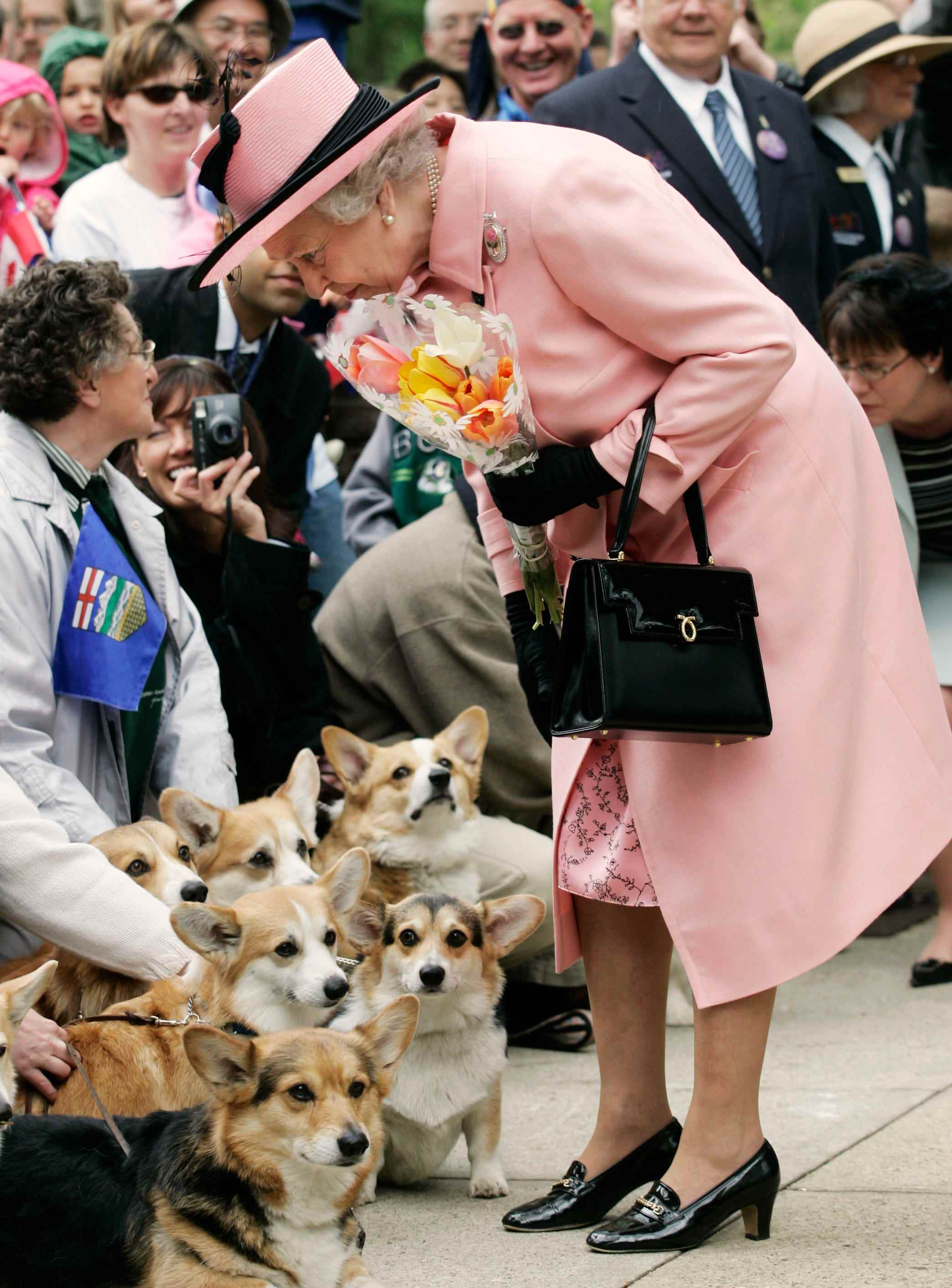 Queen Elizabeth begrüßt Corgis im Jahr 2005.
