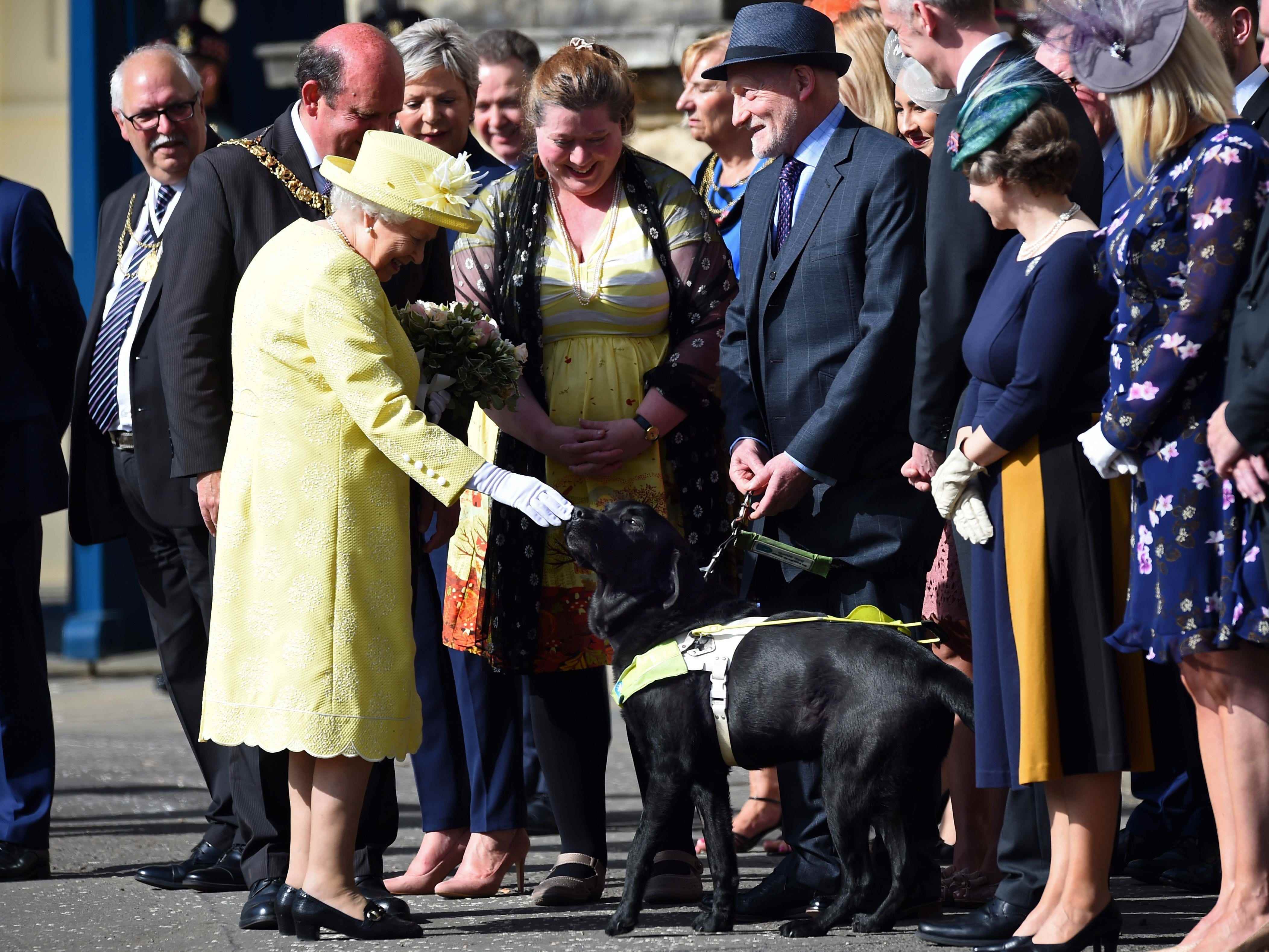 Queen Elizabeth streichelt einen Hund