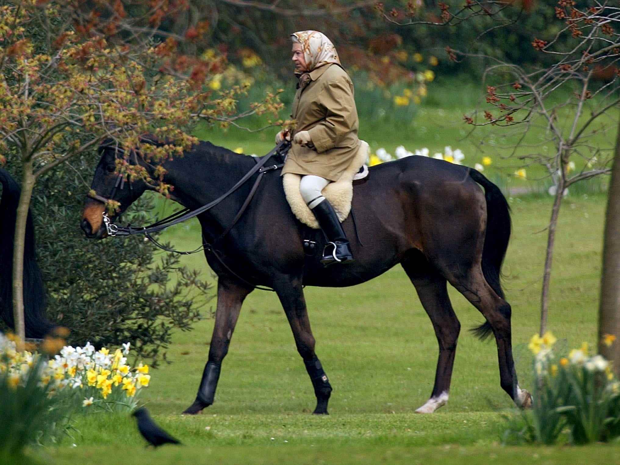 Queen Elizabeth auf einem Pferd