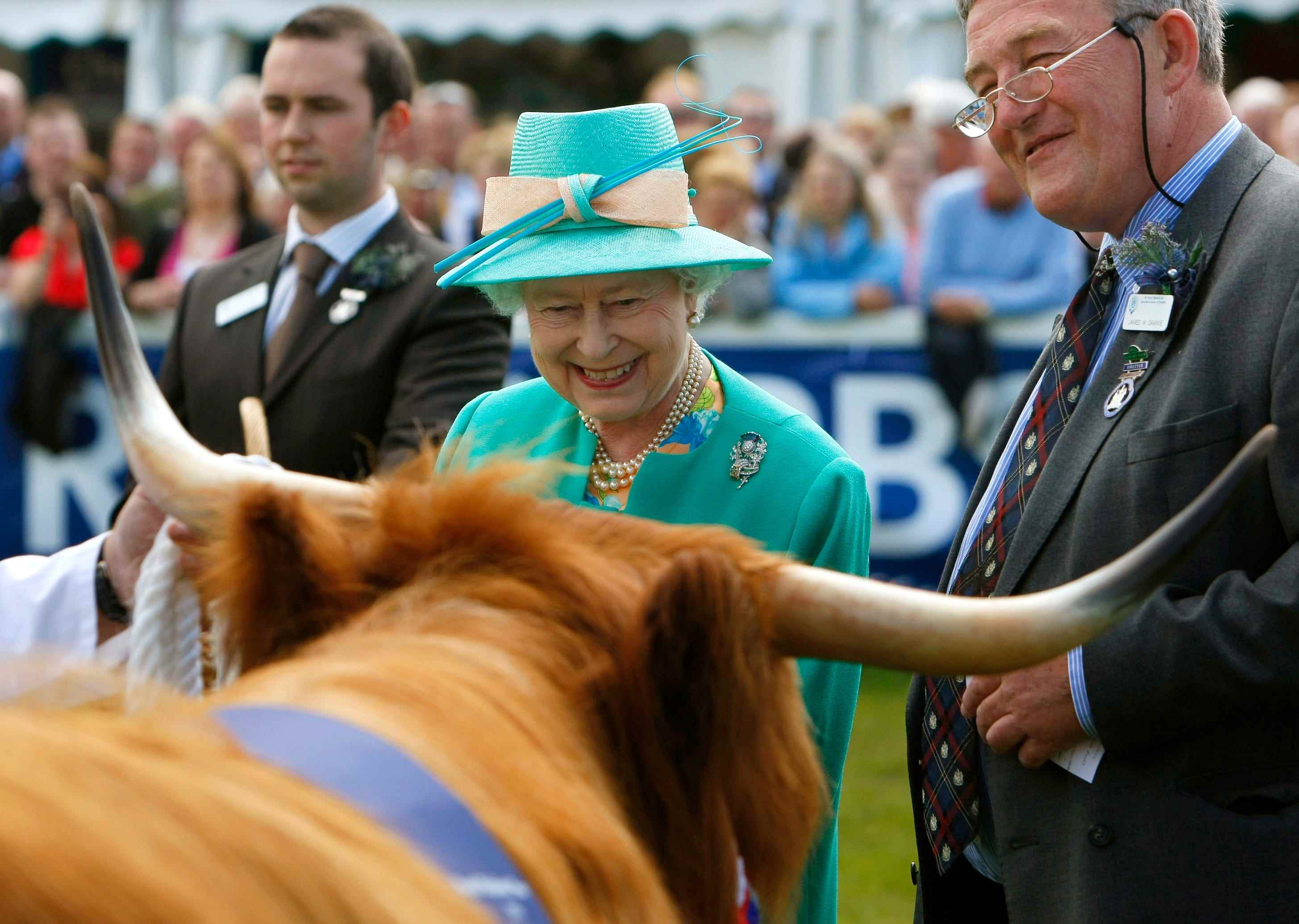 Queen Elizabeth trifft in Schottland auf eine Highland-Kuh