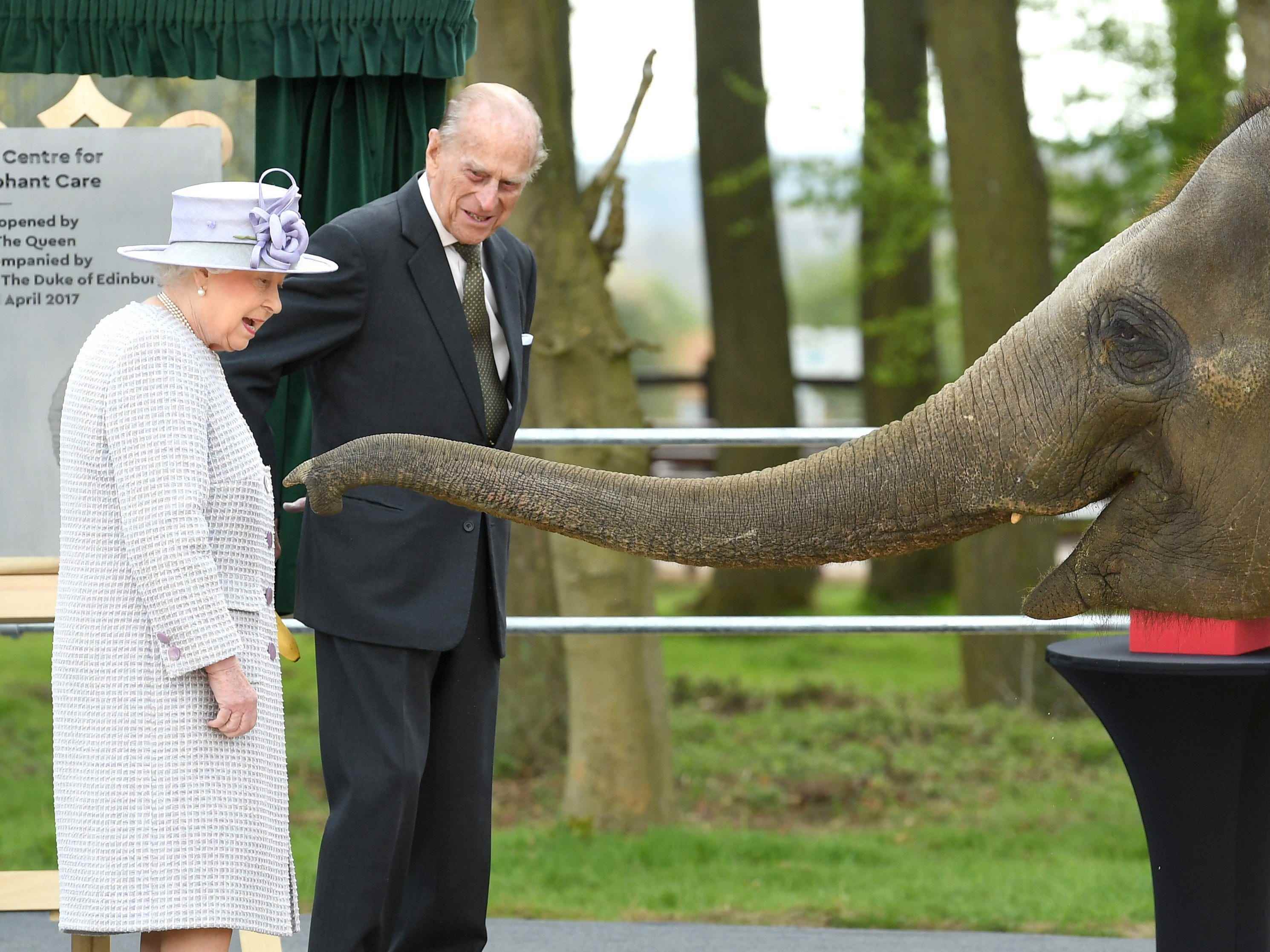 Queen Elizabeth und Prinz Philip treffen in einem Zoo auf einen Elefanten