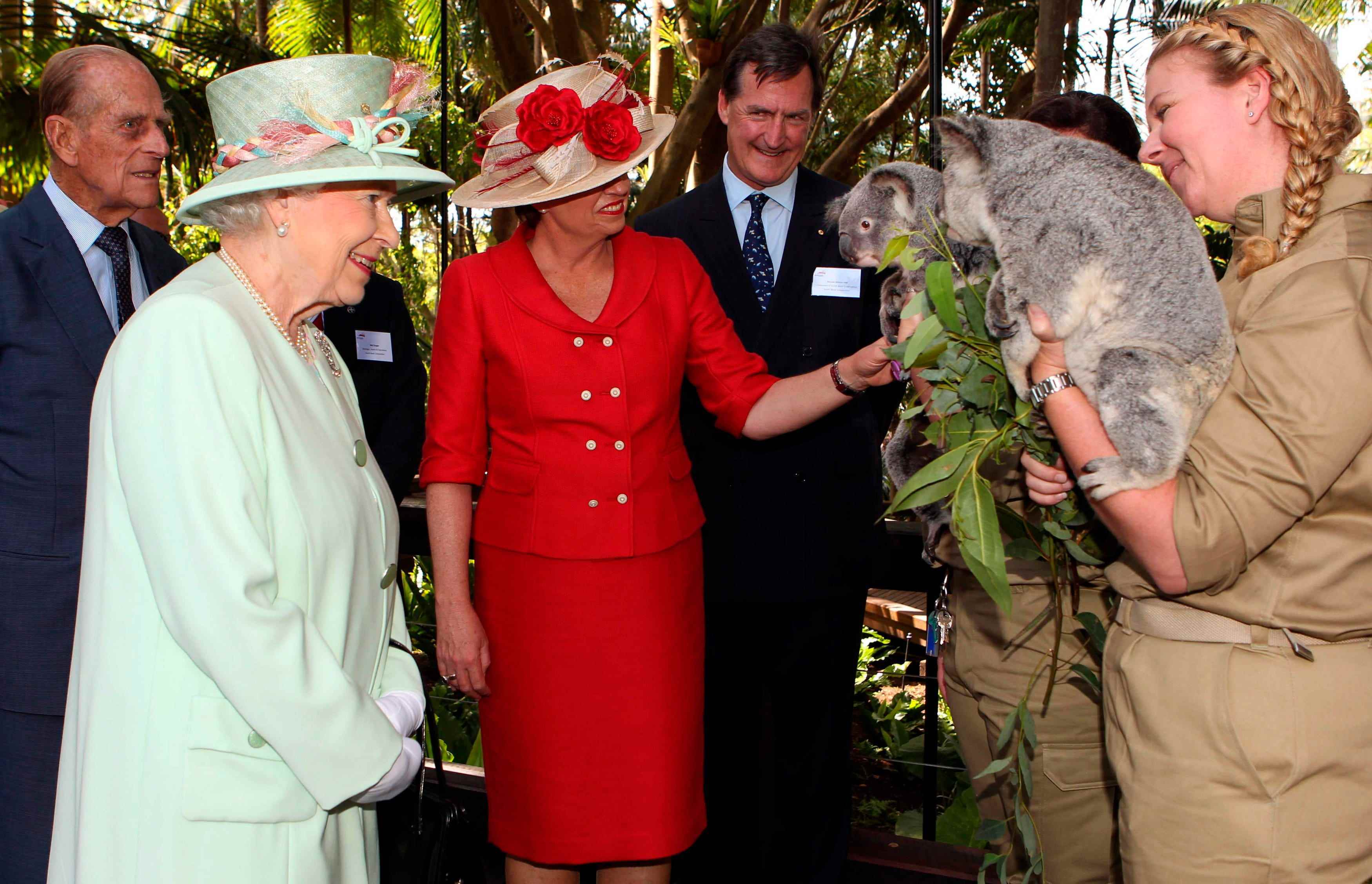 Königin Elizabeth trifft 2011 in Australien auf einen Koala.