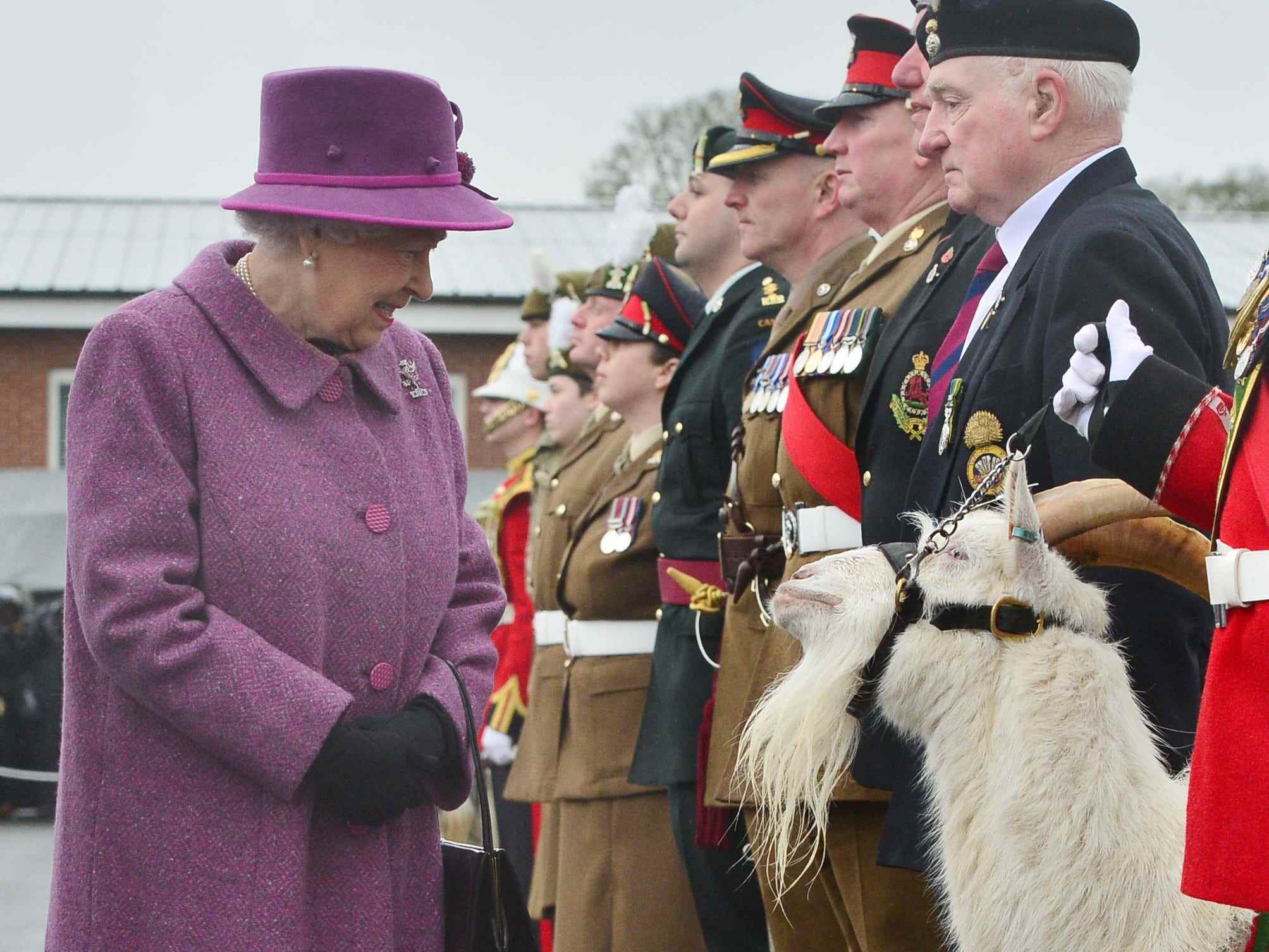 Queen Elizabeth begegnet einer Ziege