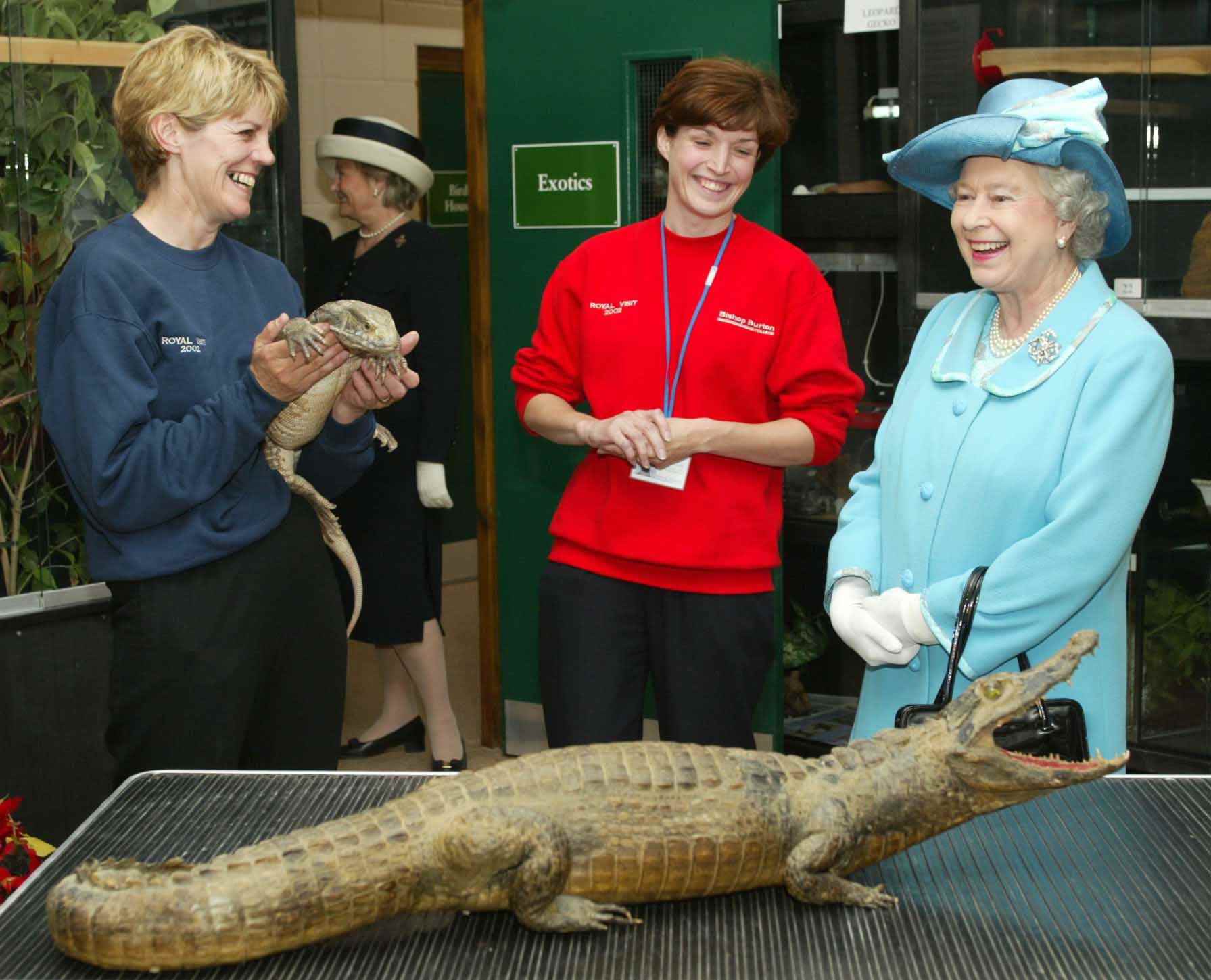 Queen Elizabeth begegnet einer Eidechse