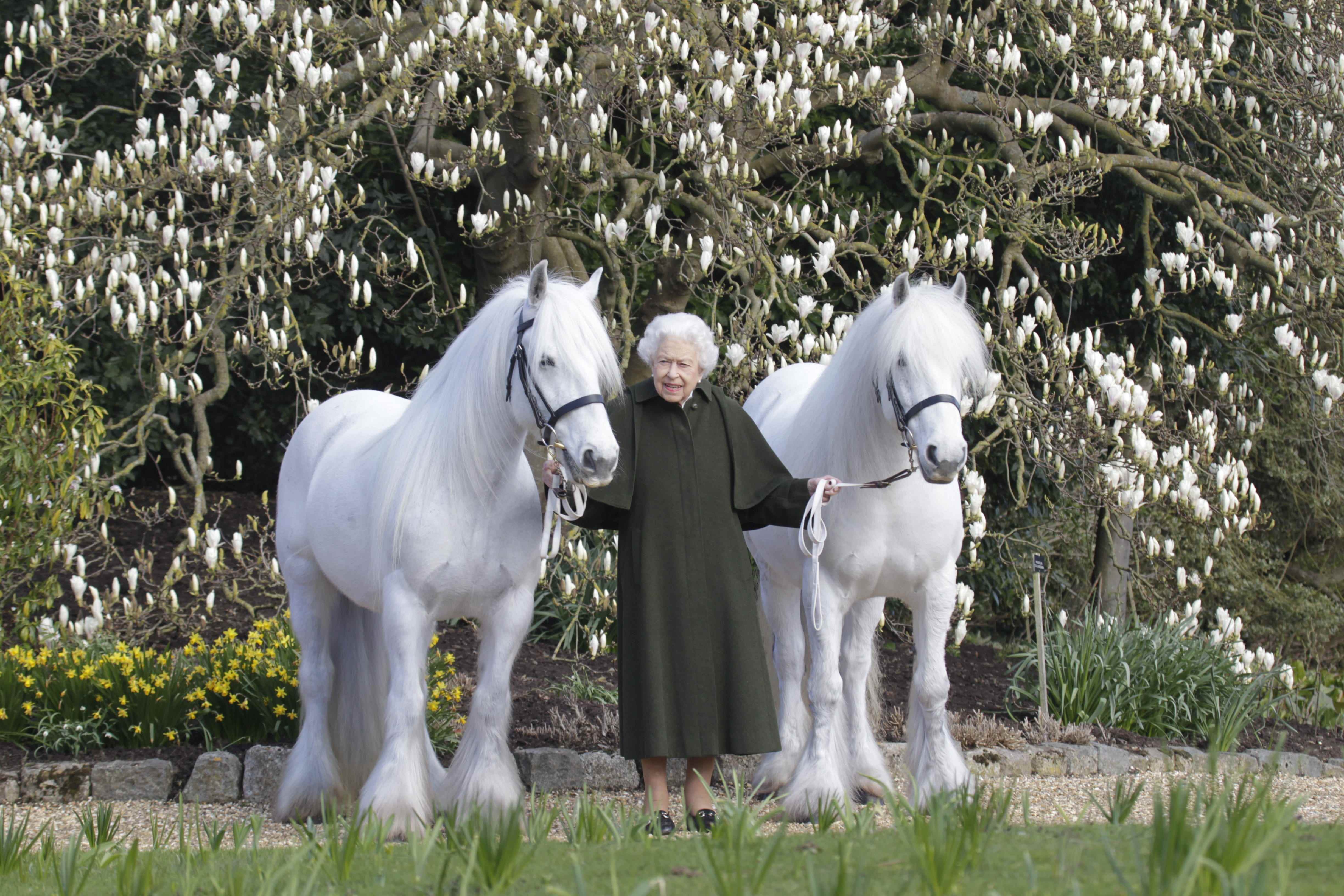 Queen Elizabeth II und ihre gefallenen Ponys, fotografiert von Henry Dallal.