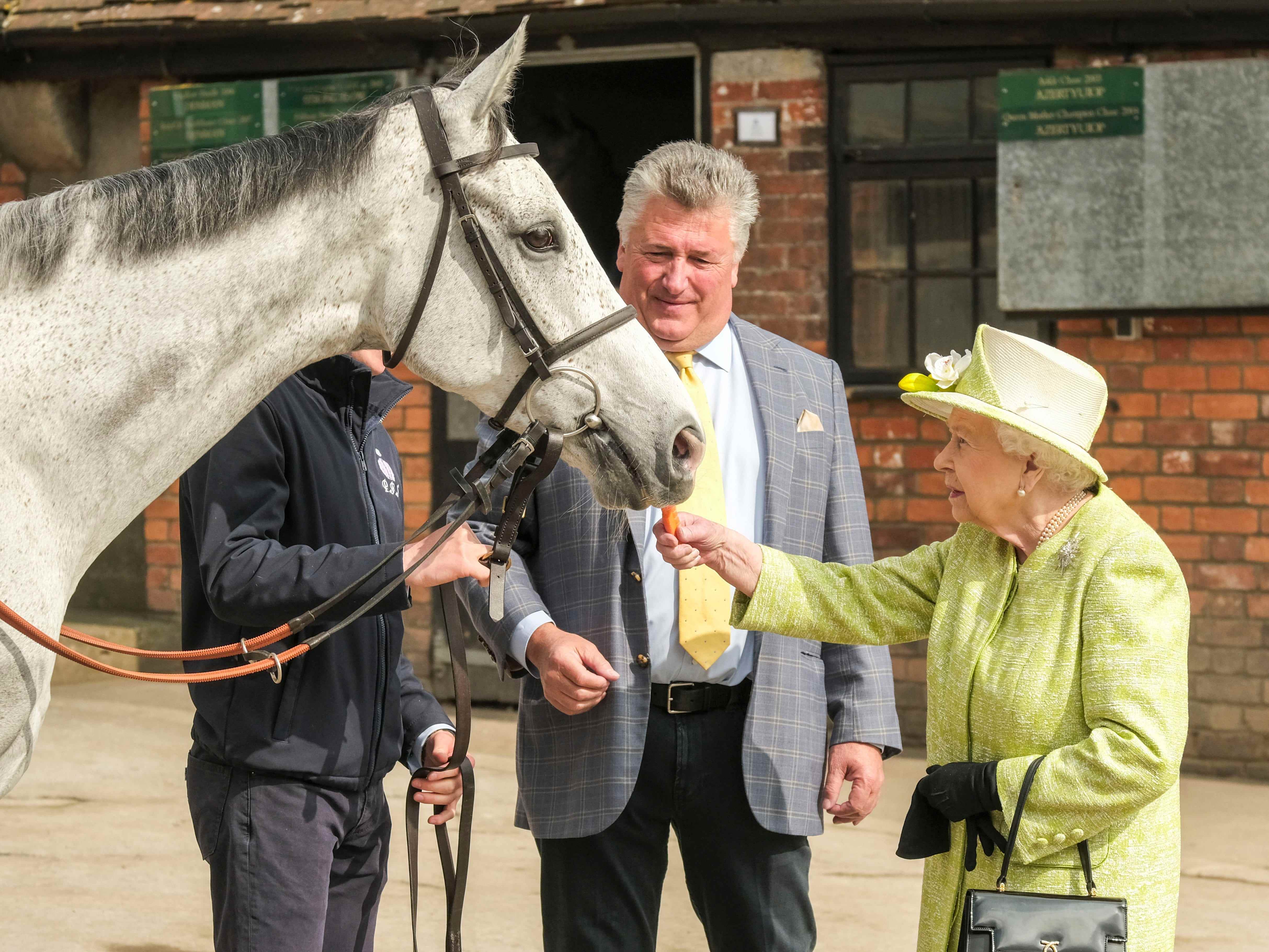 Queen Elizabeth füttert ein Pferd mit einer Karotte.