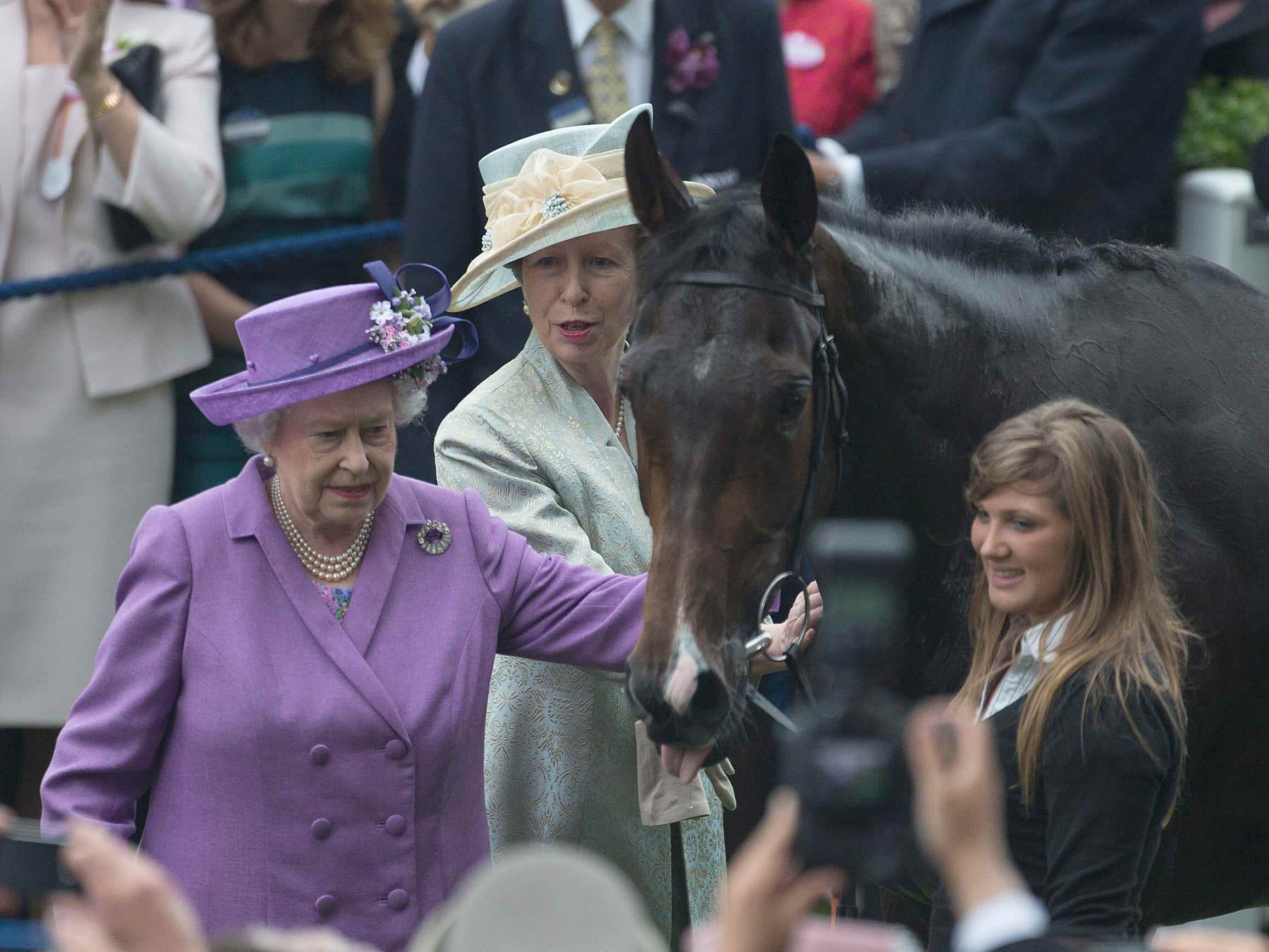 Queen Elizabeth und ihr Pferd, Schätzung.