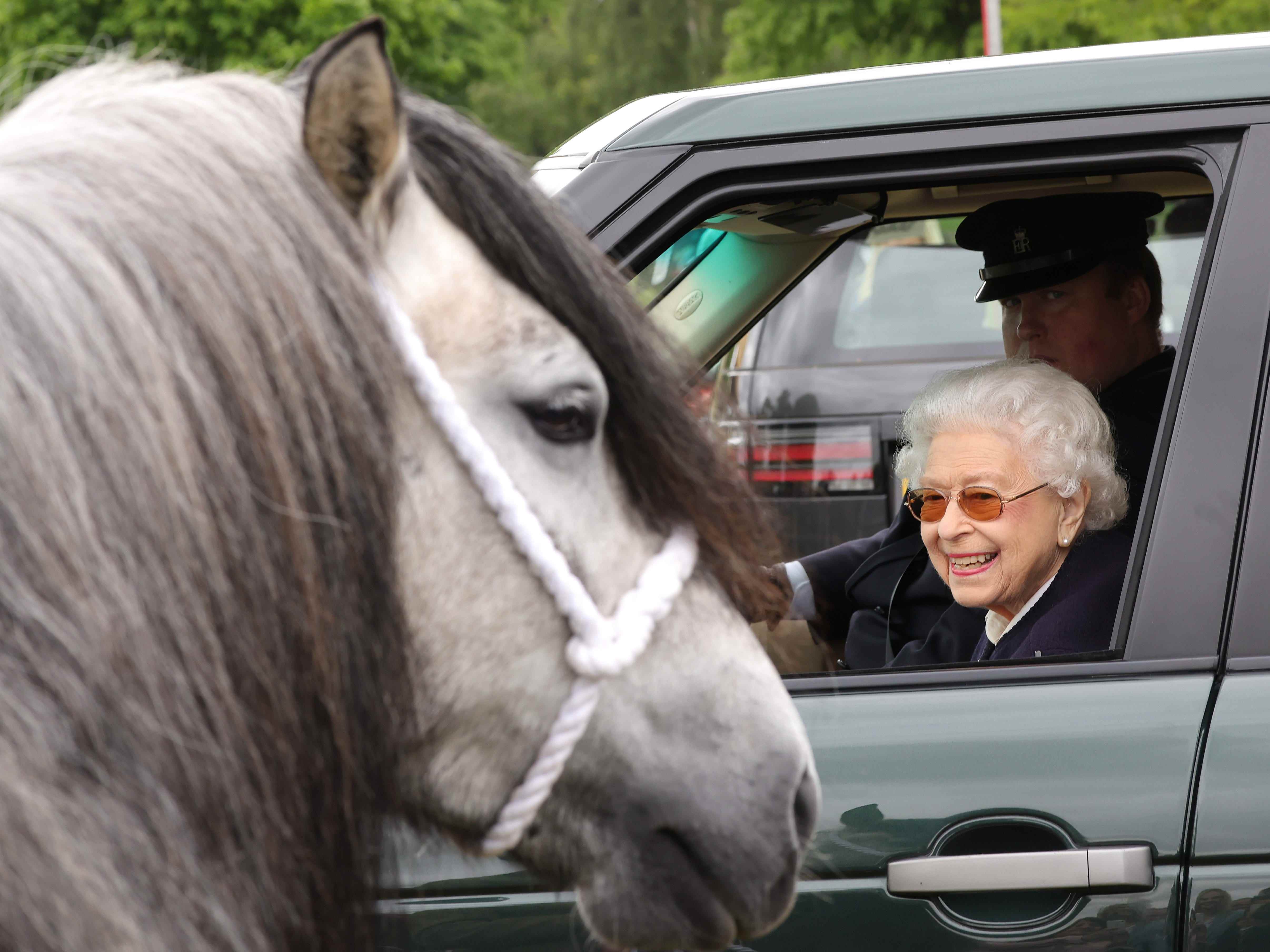 Queen Elizabeth sieht Pferd aus dem Auto an.