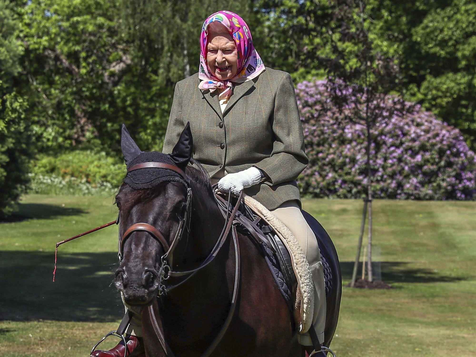 Queen Elizabeth Pferd