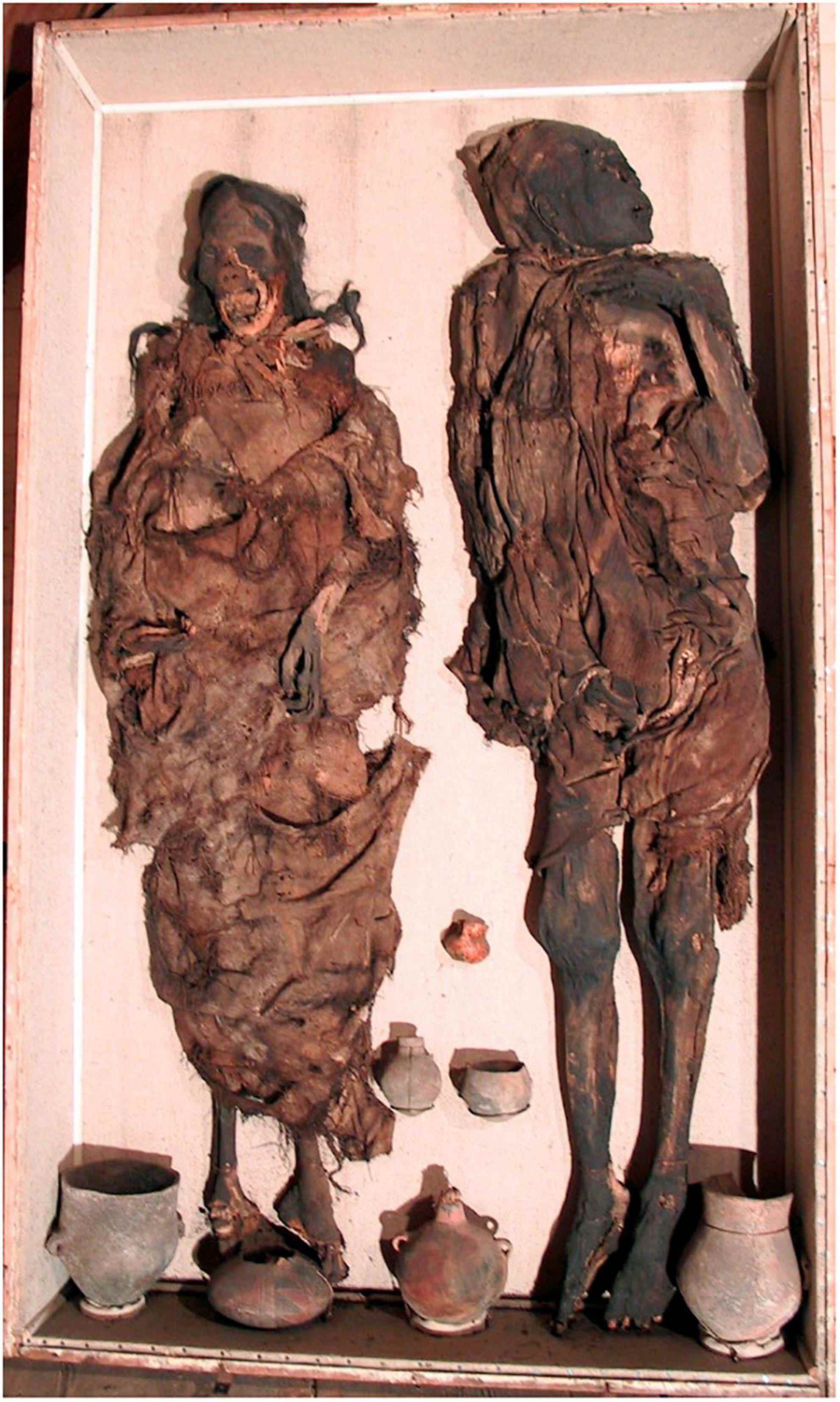 Der „Delémont-Mann“ (rechts) und die „Delémont-Frau“ (links) – „Übersicht über die beiden Mumien in ihrem Endlagerkoffer“.