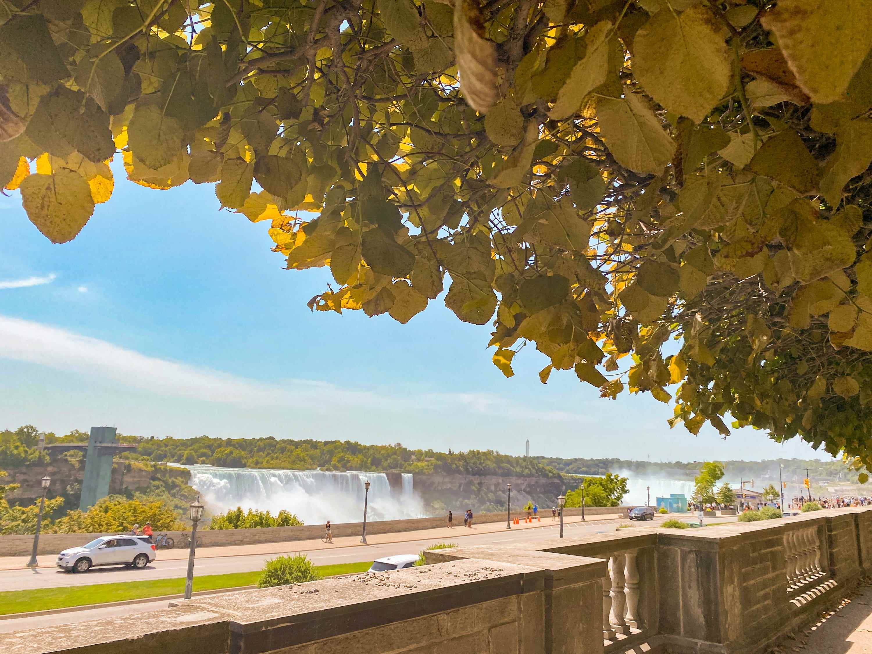 Park mit Blick auf die Niagarafälle