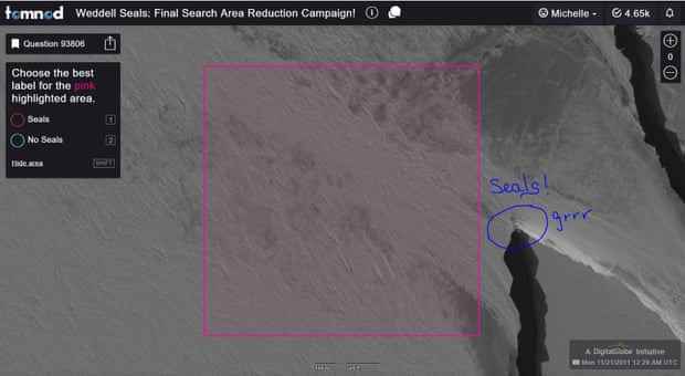 Satellitenbild von Eis mit überlagertem rosa Kästchen, um das Untersuchungsgebiet zu zeigen.  Eine Gruppe Robben befindet sich direkt außerhalb der Box 