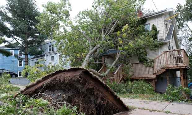 Ein Baum fällt auf ein Haus in Halifax, Nova Scotia