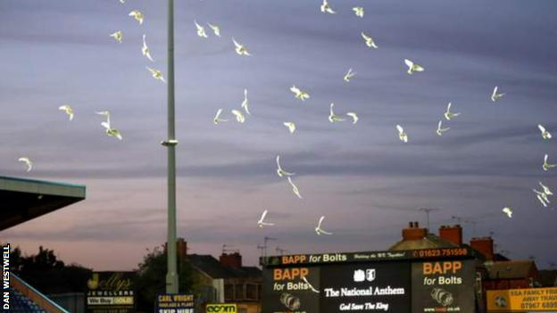 Mansfield Town lässt 96 Tauben als Hommage an Queen Elizabeth II frei