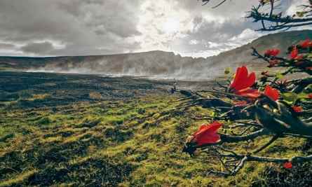Rauch in einem Tal des Nationalparks Rapa Nui auf der Osterinsel, Chile, am 6. Oktober.