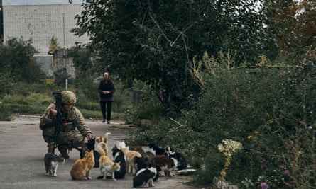 Artur begrüßt einige Katzen in der Stadt Izium in der Ostukraine.