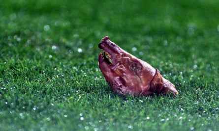 Ein Schweinekopf auf dem Rasen von Barcelona, ​​als Luis Figo mit Real Madrid zurückkehrte