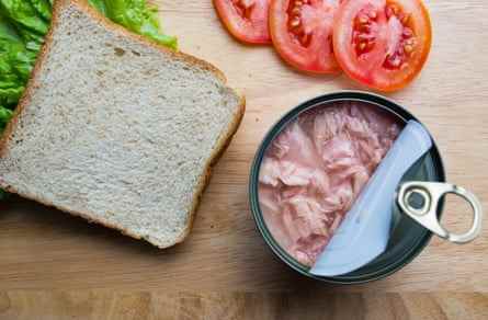 Thunfischkonserven sind nützlich für Lebensmittelpakete ohne Kochen: Bei der Zubereitung eines Thunfischsandwiches öffnet sich eine Thunfischdose mit Brot, Salat und Tomate auf einer hölzernen Arbeitsfläche.