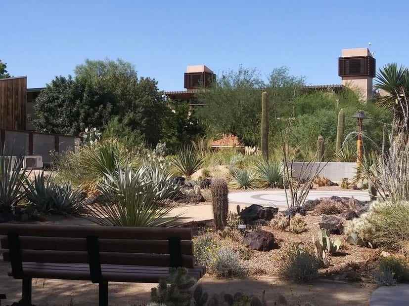 Springs Preserve Botanischer Garten Las Vegas Nevada