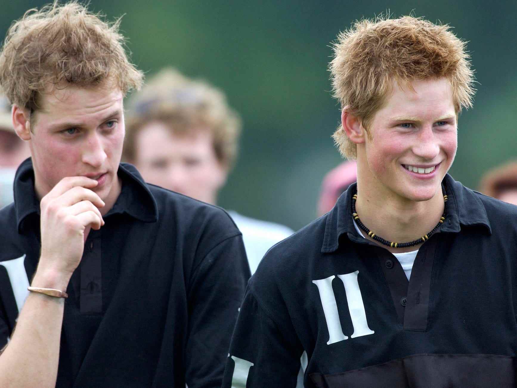 Prinz William und Prinz Harry im Jahr 2002.