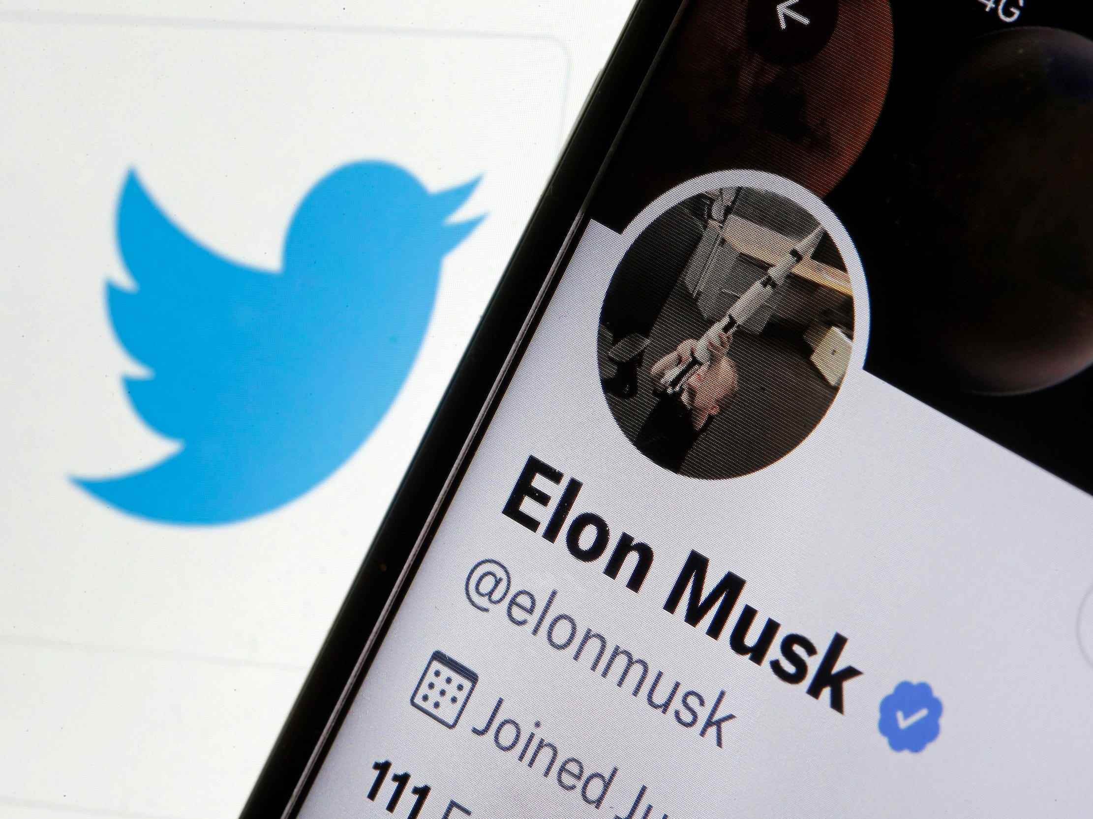 Elon Musks Twitter-Account mit Twitter-Logo.