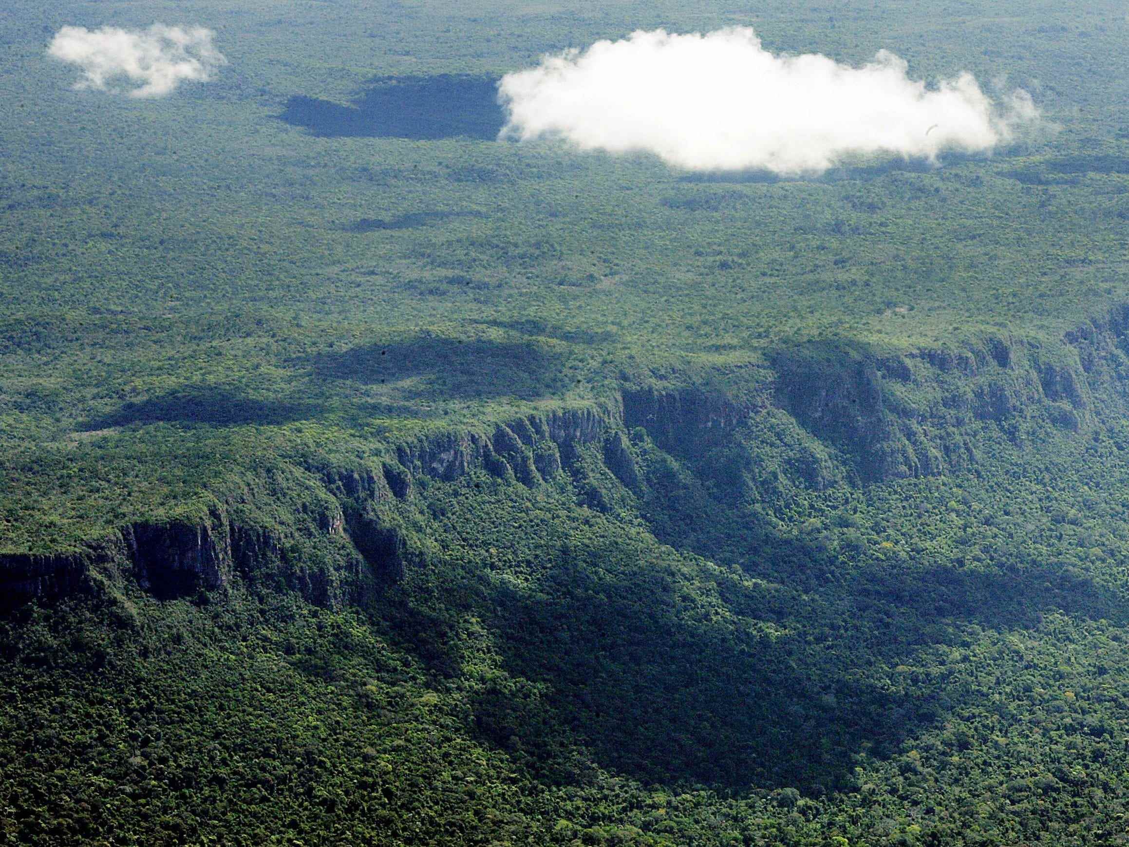Amazonas-Regenwald vor der Abholzung durch Brände