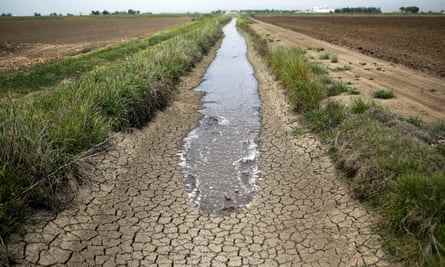 Bewässerungswasser fließt im Jahr 2014 entlang eines ausgetrockneten Grabens zwischen Reisfarmen in Richvale, Kalifornien. In diesem Jahr führte ein Wassermangel im Bundesstaat dazu, dass sich viele Landwirte entschieden, nicht zu pflanzen.