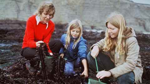 Earle beim Seetangpflücken mit ihren beiden Töchtern Liz und Gale (von rechts). 