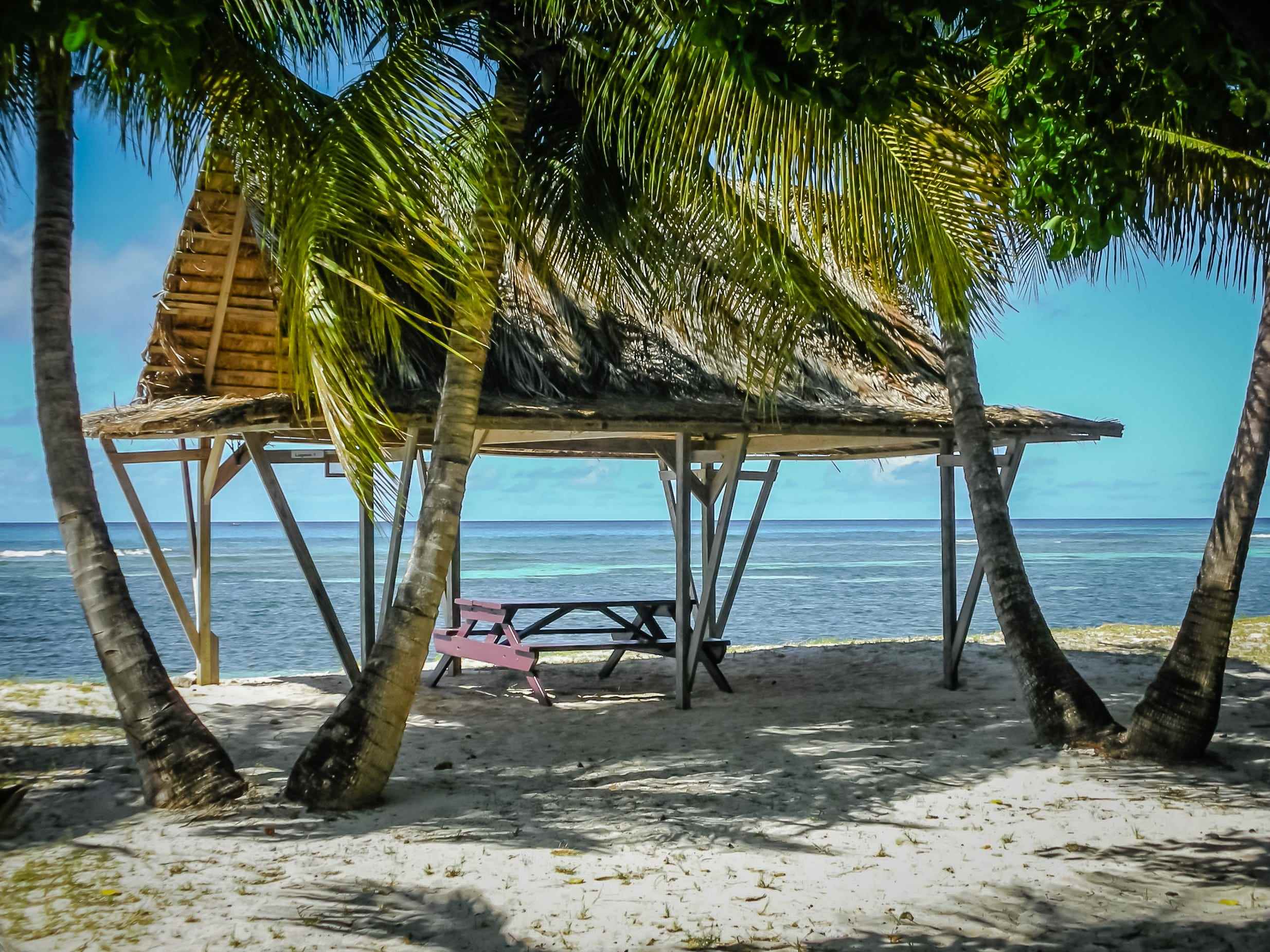 Ein Strand auf Mustique mit Picknicktisch und Unterstand umgeben von Palmen