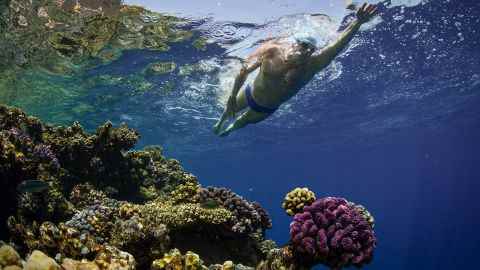 Pugh absolvierte sein Schwimmen durch das Rote Meer – Heimat einiger der artenreichsten Korallenriffe der Welt – in 16 Tagen.