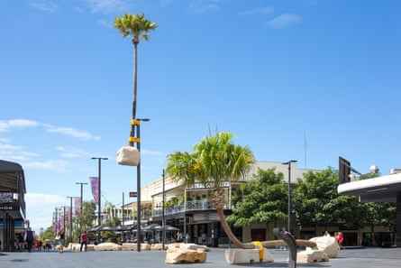 Eine hohe Palme, die an einen Laternenpfahl gebunden ist