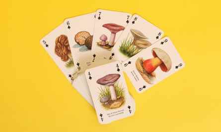 Pilz-Spielkarten