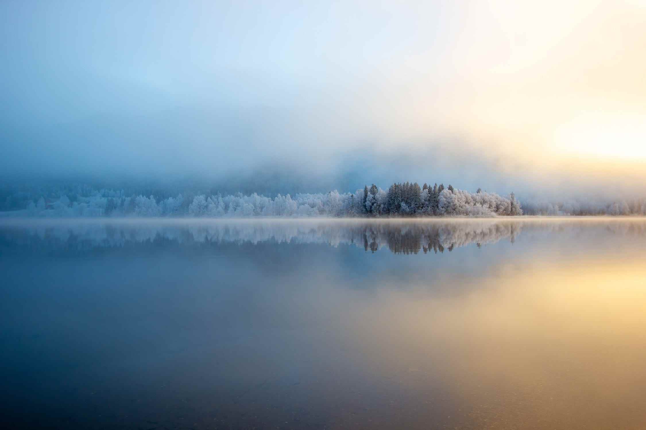 schneeweiße und grüne immergrüne Bäume unter Nebel über einem glasigen See