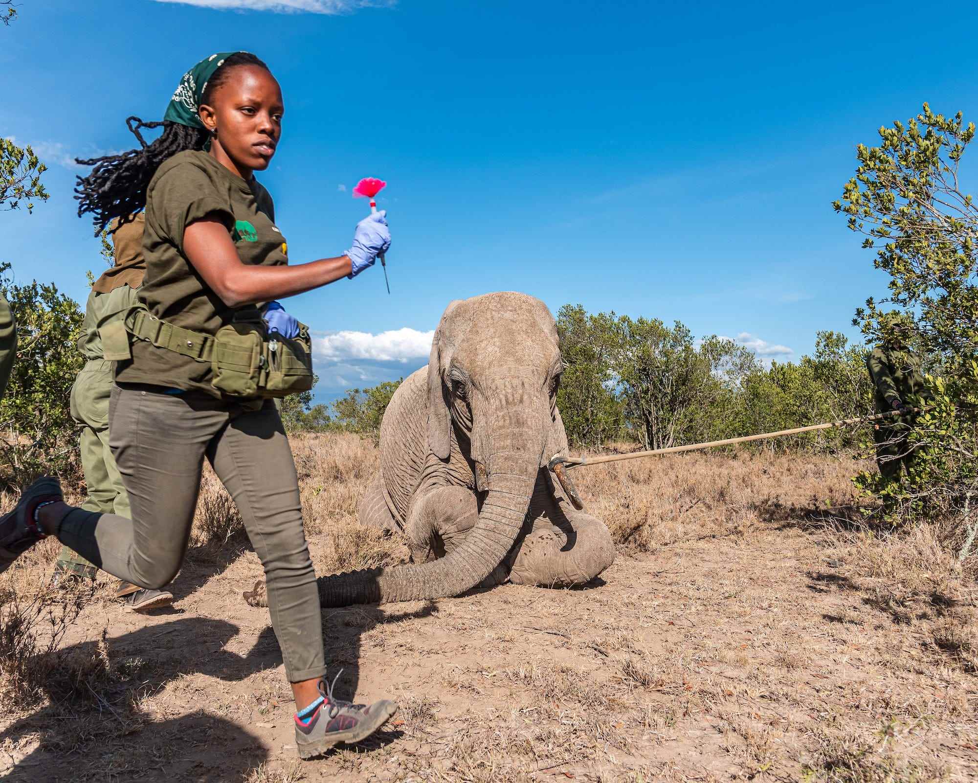 Frau läuft mit Pfeil vor Elefanten auf den Knien auf dem Boden