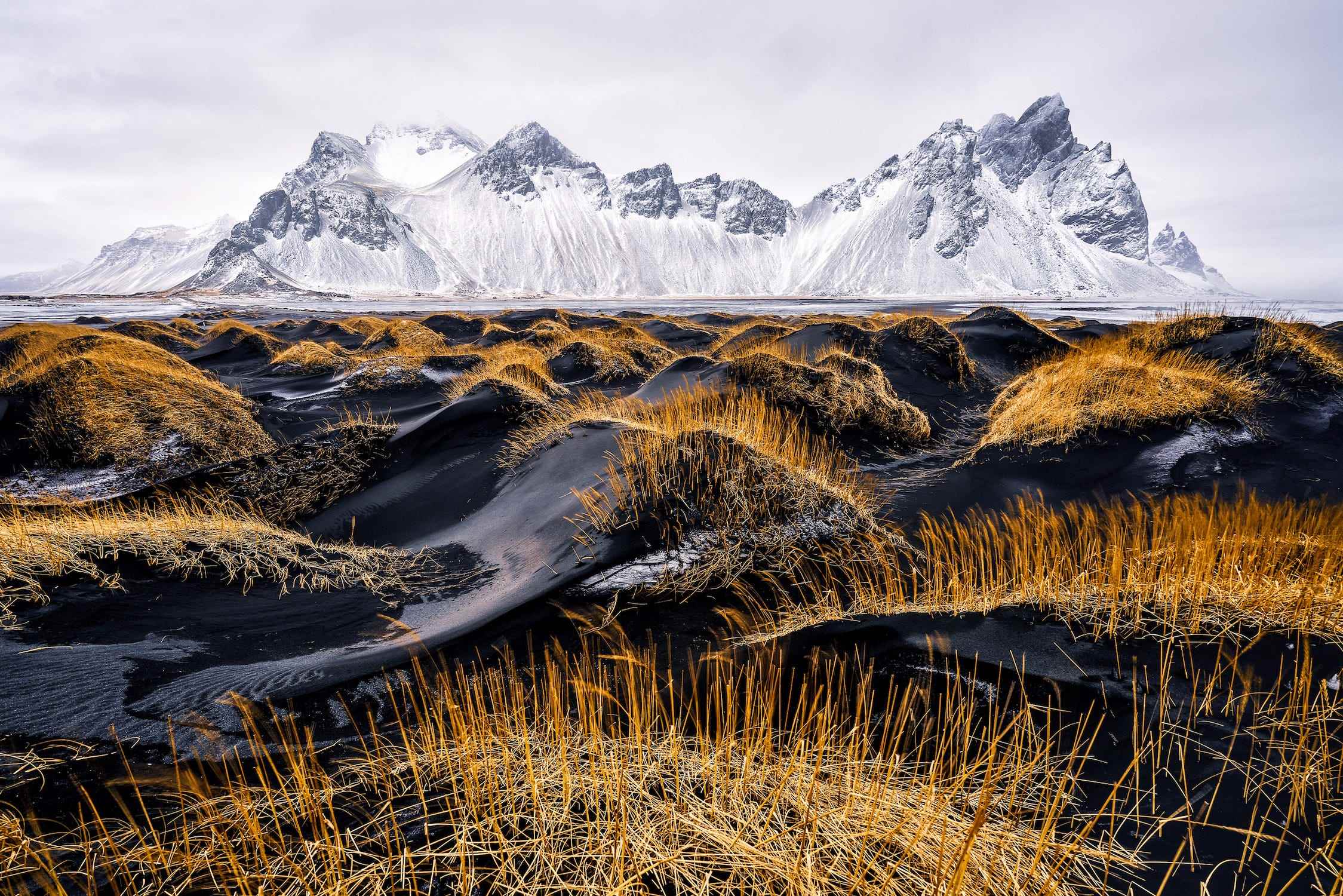 schwarzer Sandstrand mit schneebedeckten weißen Bergen des orangefarbenen Grases im Hintergrund