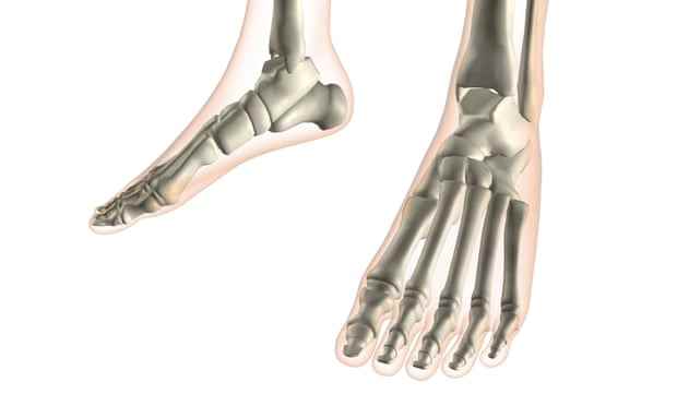 Röntgenansicht der Fußknochen