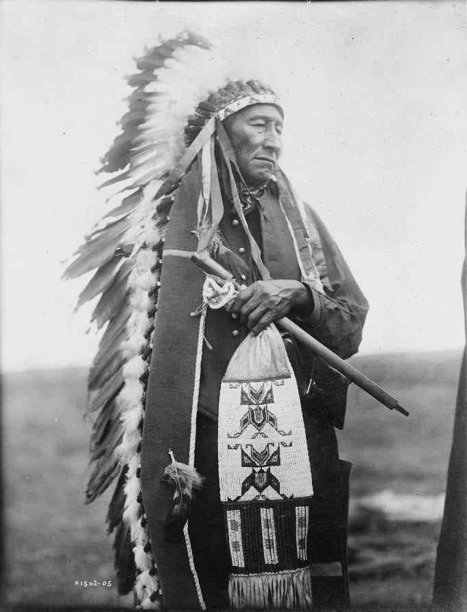 Dreiviertelporträt von Chief Stinking Bear, einem Mann aus Dakota, der einen gefiederten Kopfschmuck trägt.
