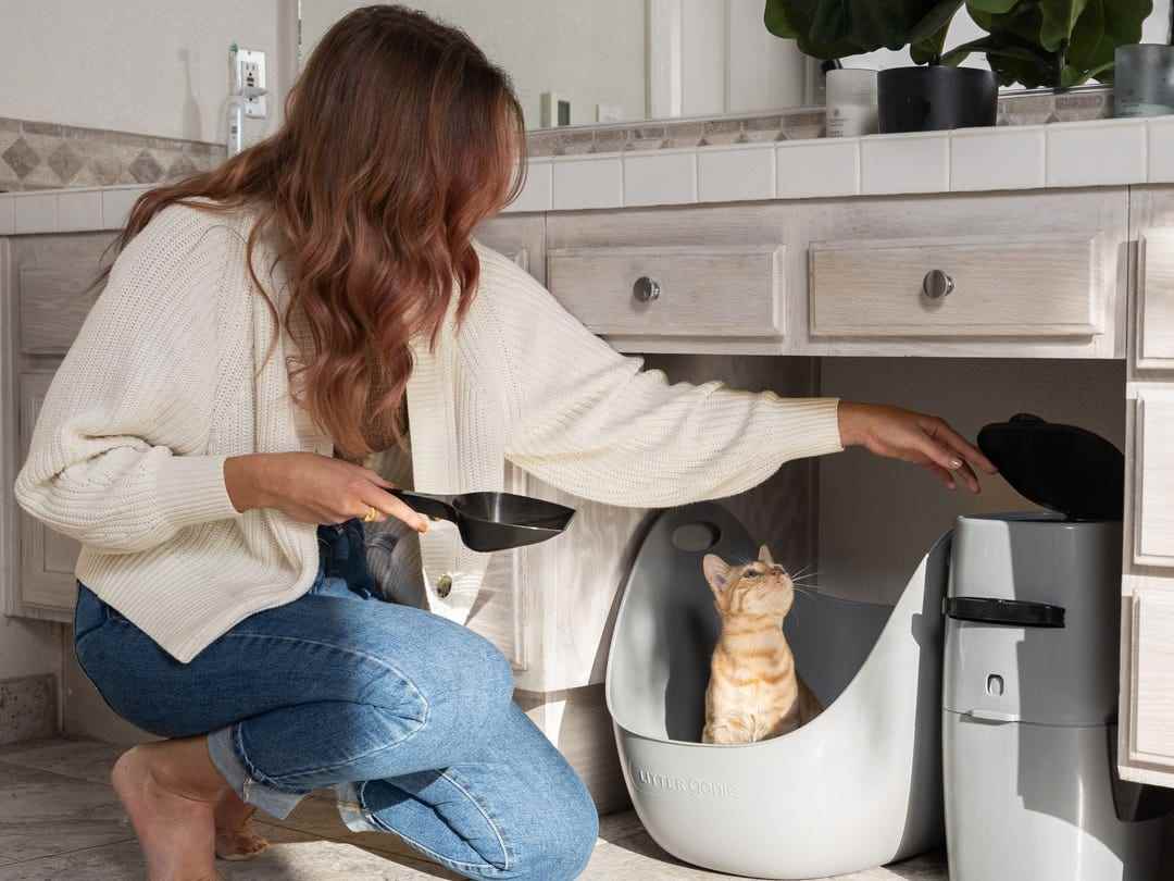 Eine Person, die ein graues Litter Genie Plus Abfallentsorgungssystem öffnet, während sie ihre Katze mit einer schwarzen Plastikschaufel in der linken Hand betrachtet.
