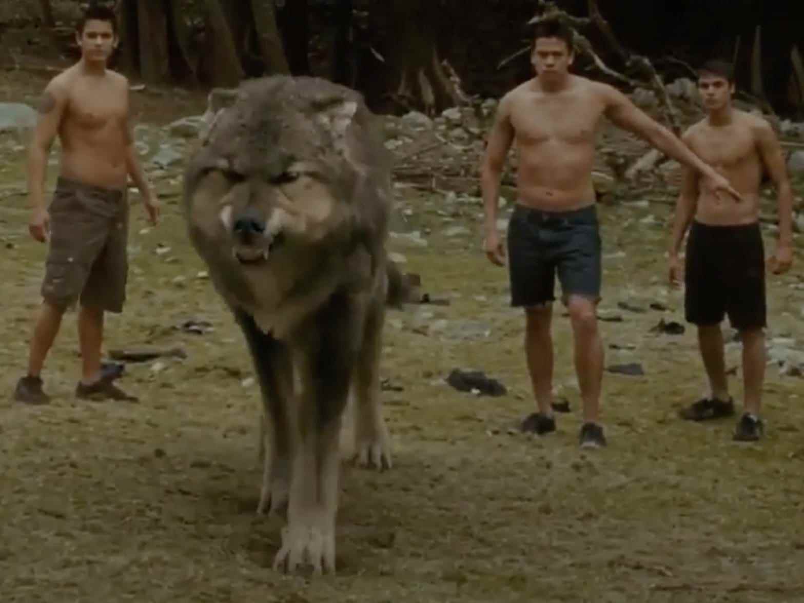 Ein Werwolf mit menschlichen Rudelmitgliedern, die in New Moon auf dem Feld stehen