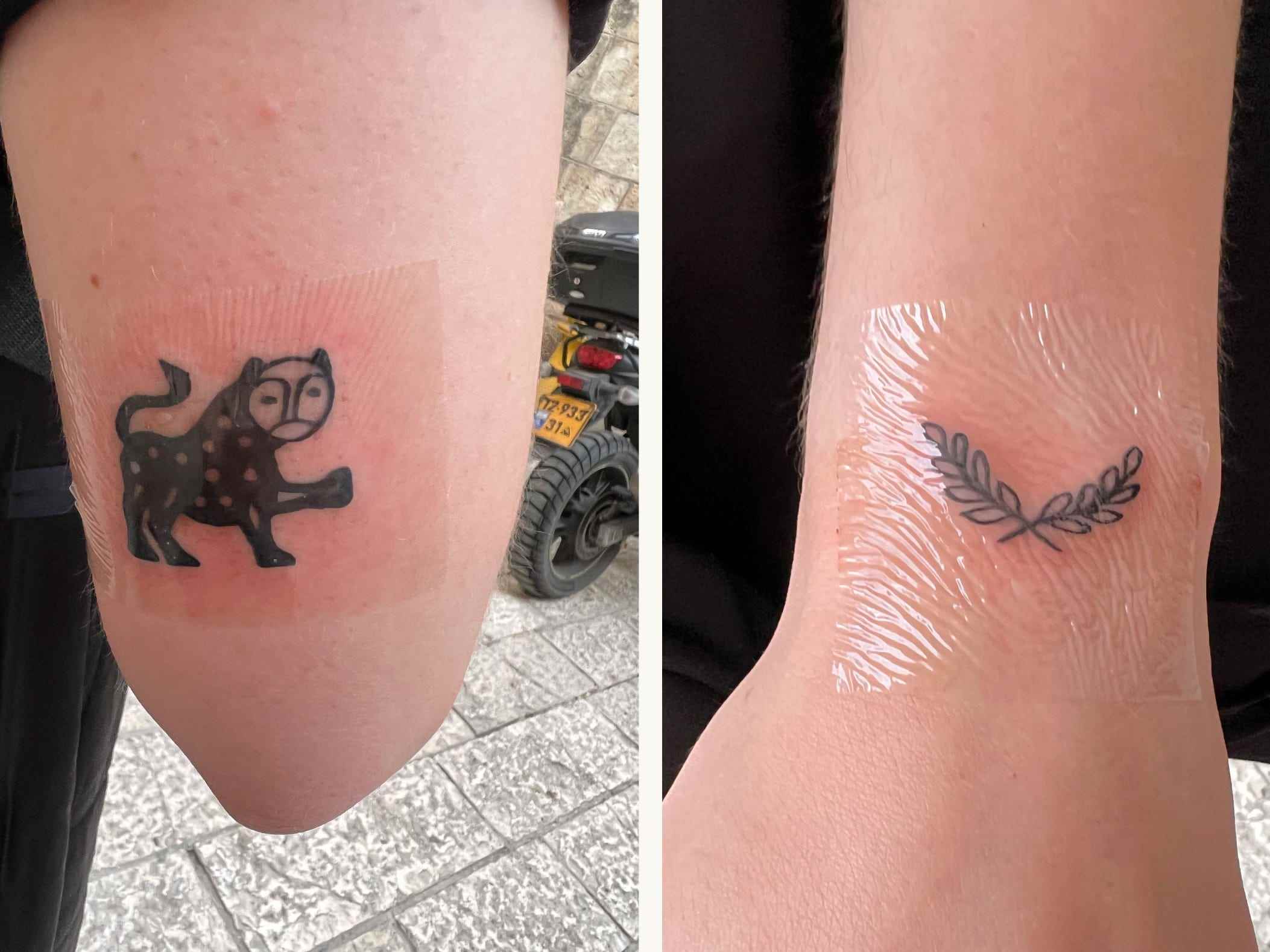 Zwei Tattoos, ein Löwe und ein Olivenzweig, nebeneinander