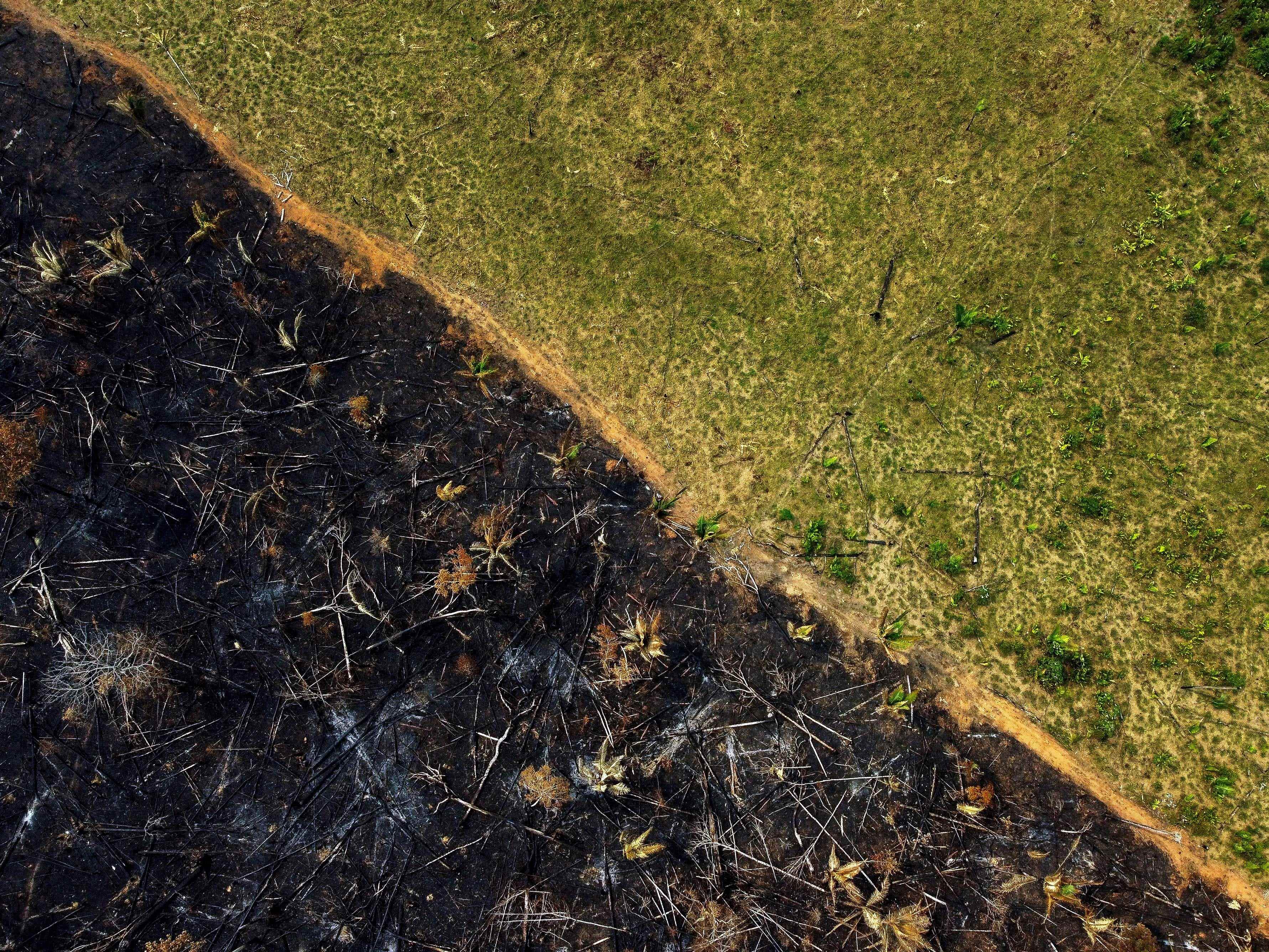 Luftaufnahme eines verbrannten Gebiets in Labrea, im südlichen Bundesstaat Amazonas, Brasilien, am 17. September 2022. - Nach Angaben des Nationalen Instituts für Weltraumforschung (INPE) verzeichneten Hotspots im Amazonasgebiet in der ersten Septemberhälfte einen Rekordanstieg. das sind im Monatsdurchschnitt 1.400 Brände pro Tag.