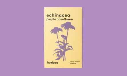 Herboo lila Echinacea-Samen