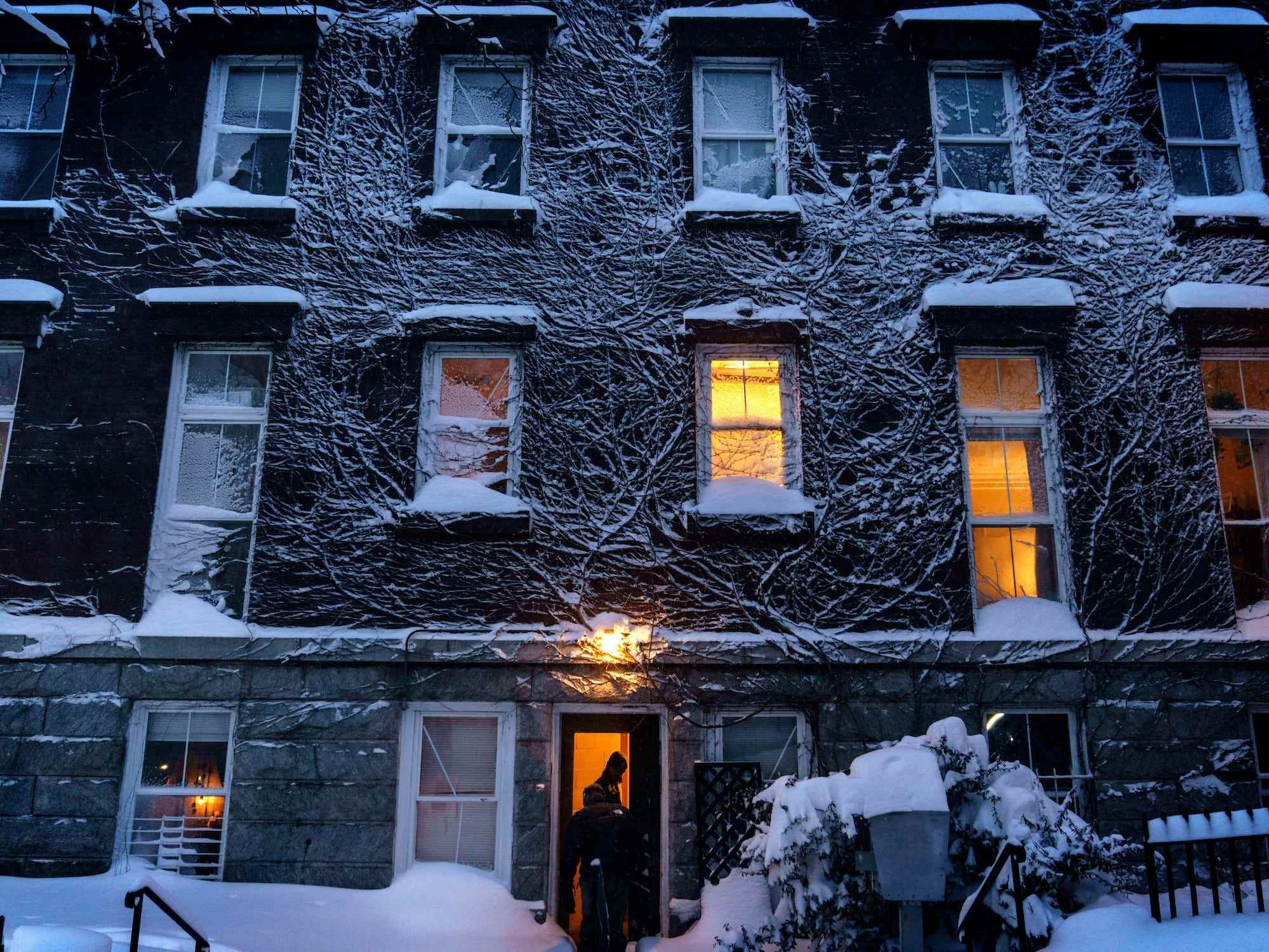 Reben, die die Seite eines Gebäudes erklimmen, sind in Providence, RI, Samstag, 29. Januar 2022, mit Schnee bedeckt.