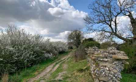 Eine alte römische Mauer in Silchester