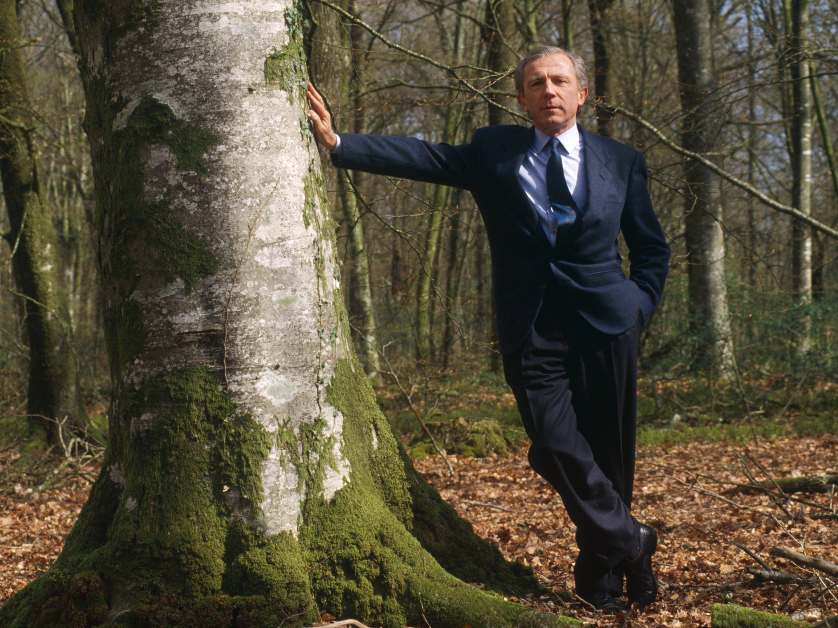 Francois Pinault lehnt mit einer Hand an einem Baum in einem Wald in Frankreich